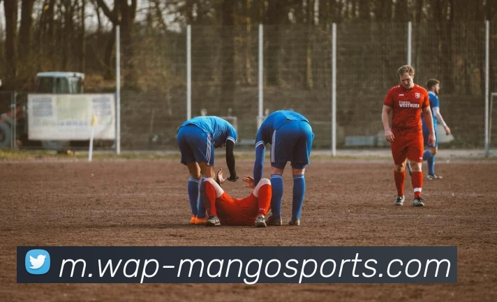 体育下注APP 封面图